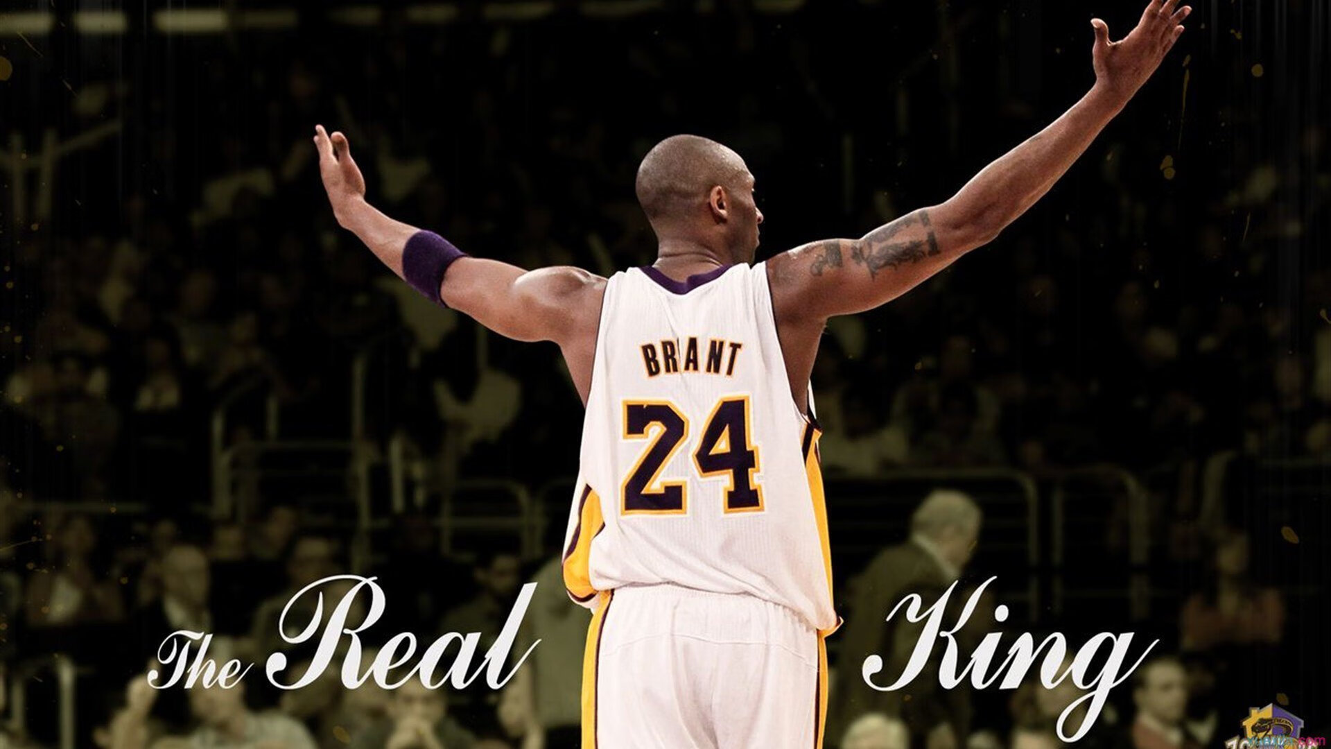 圭亚那国际森林跑步节吸引远方跑者,圭亚那旅游