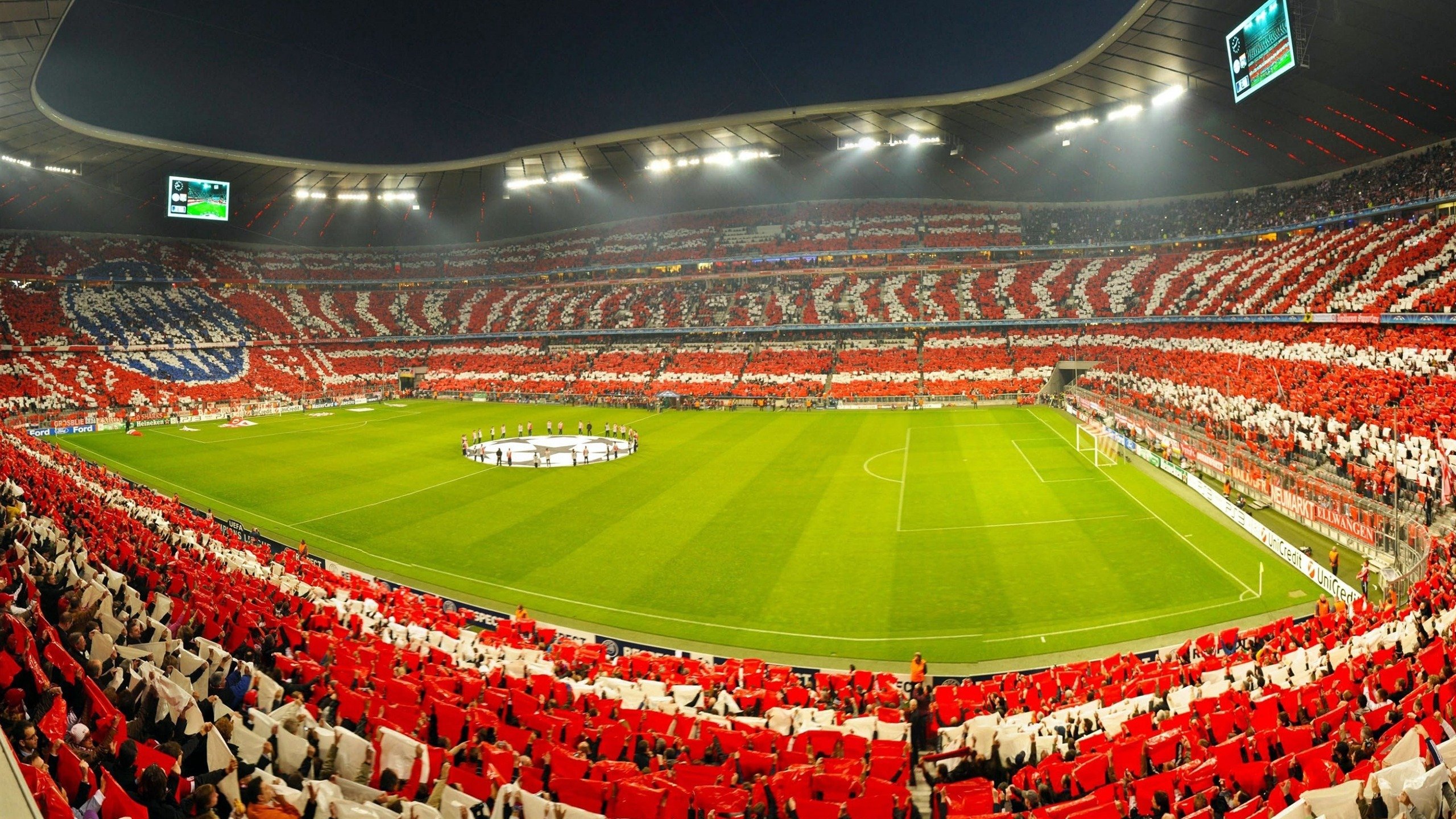 欧洲环法：丹麦新星崛起，骑行激情四射！，丹麦 环保